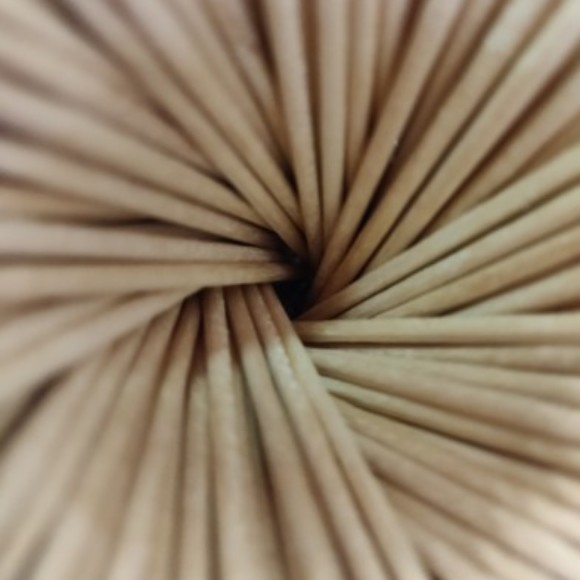 Profile picture of One