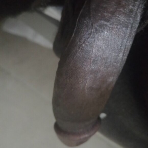 Profile picture of Zino