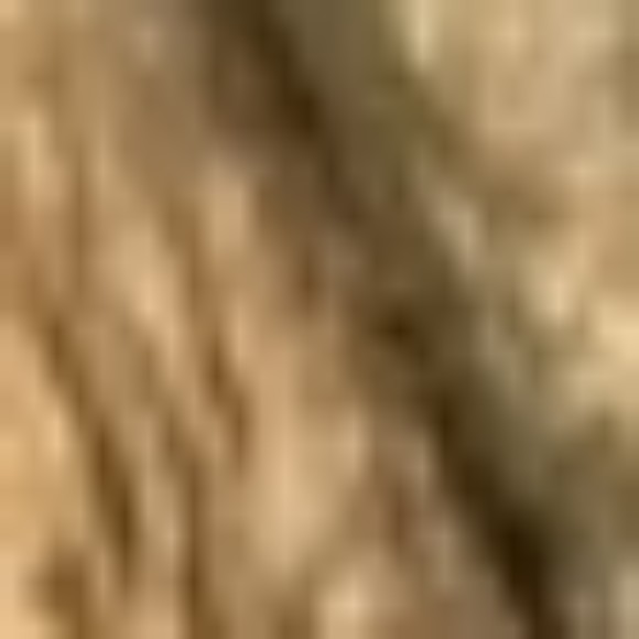 Profile picture of Cheche