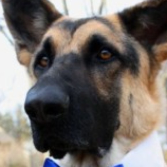 Profile picture of yachty